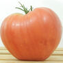 Red Oxheart, Tomato Seeds thumbnail number null