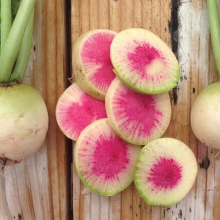 Watermelon, Radish Seeds - Packet image number null