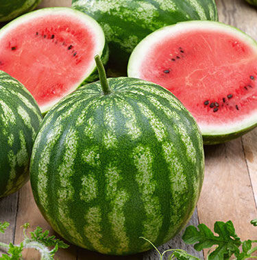 US Farm 50 Premium Bush Type Sweet Organic Watermelon Seeds 
