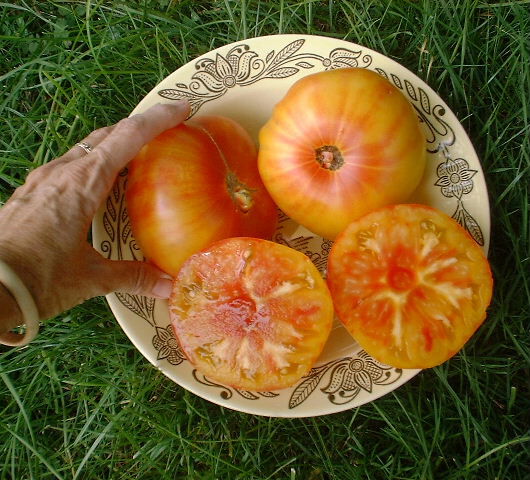Pineapple Tomato Seeds Urban Farmer