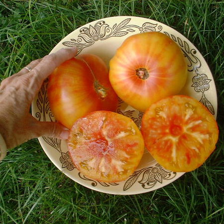 Pineapple, Tomato Seeds - Packet image number null