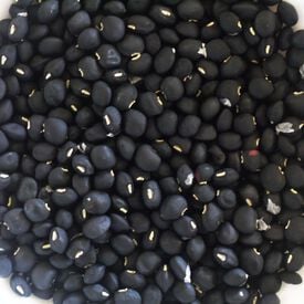 Black Crowder, Cowpea Seeds