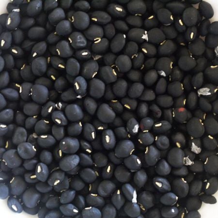 Black Crowder, Cowpea Seeds image number null