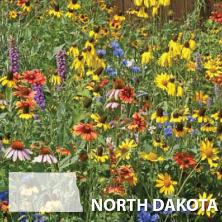 North Dakota Blend, Wildflower Seed - 1 Ounce image number null