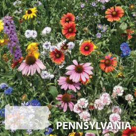 Pennsylvania Blend, Wildflower Seed