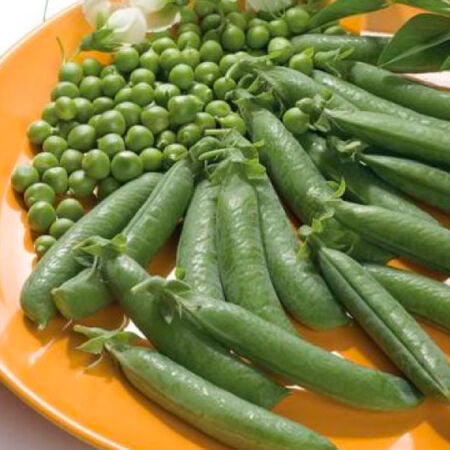 Premium, Pea Seeds - 1 Ounce image number null