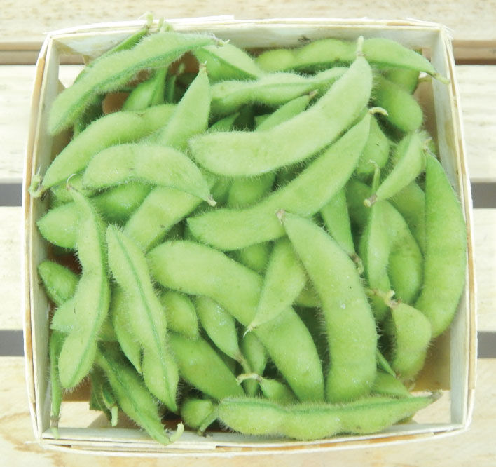 青森県産 自然栽培 大豆 10キロ 野菜