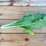 Purple Plum, Radish Seeds - Packet thumbnail number null