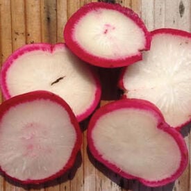 Early Scarlet Globe, Radish Seeds