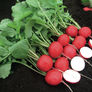 Rivoli, Radish Seeds - Packet thumbnail number null