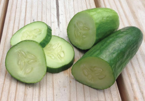 Muncher, Cucumber Seeds | Urban Farmer