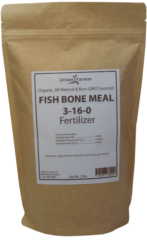 Fish bone best sale meal