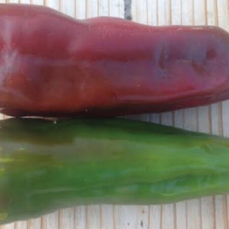 Marconi Red, Pepper Seeds - Packet image number null