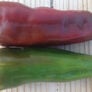 Marconi Red, Pepper Seeds - Packet thumbnail number null