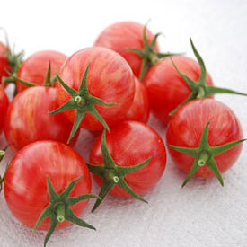 Tutti Frutti Cherry Baby Red Hyb Tomato, Peppers: Totally Tomatoes