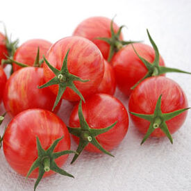 Pink Bumble Bee, Organic Tomato Seeds