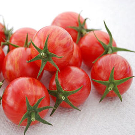 Pink Bumble Bee, Organic Tomato Seeds - Packet image number null