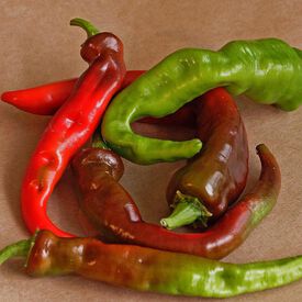 Cayenne Long Red Thick, Pepper Seeds