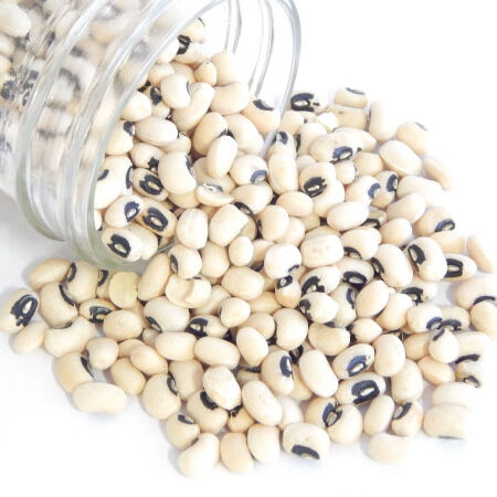 California Blackeye #46, Cowpea Seeds - Packet image number null