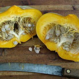 Sweet Meat, Squash Seeds