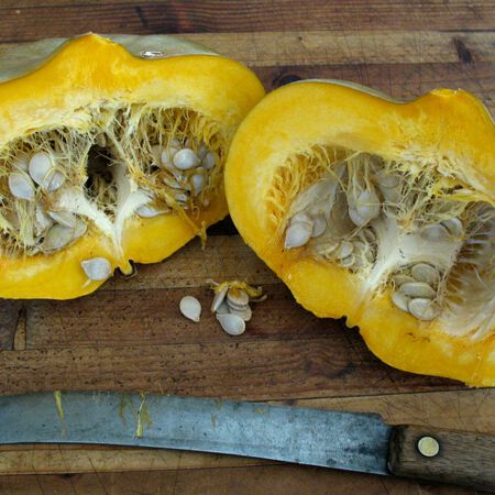 Sweet Meat, Squash Seeds - Packet image number null
