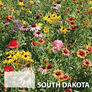 South Dakota Blend, Wildflower Seed - 1 Ounce thumbnail number null