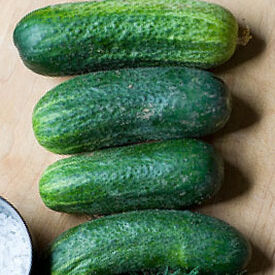 Homemade Pickles, Cucumber Seeds