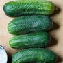 Homemade Pickles, Cucumber Seeds - Packet thumbnail number null