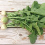 Watermelon, Radish Seeds - Packet thumbnail number null