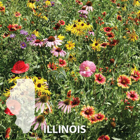 Illinois Blend, Wildflower Seed