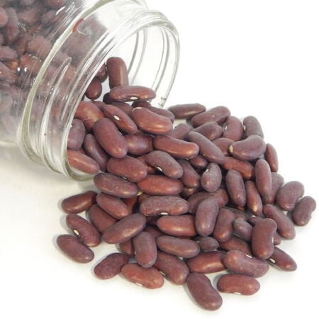 Dark Red Kidney, Bean Seeds - Packet (1 oz.) image number null