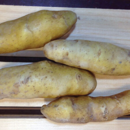 Banana Fingerling, Seed Potatoes - 50 Pounds image number null