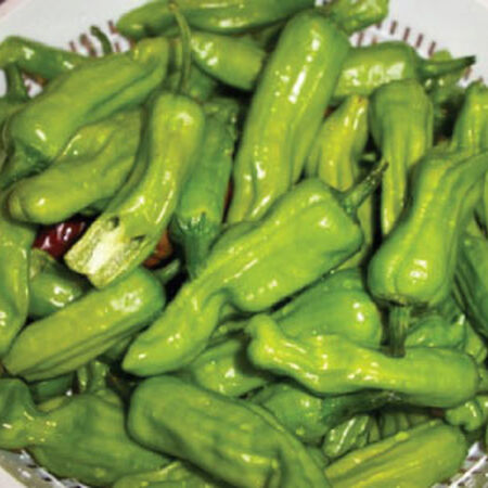 Golden Greek, Pepper Seeds - Packet image number null