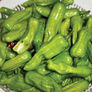 Golden Greek, Pepper Seeds - Packet thumbnail number null