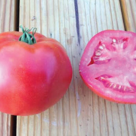 Rutgers, Tomato Seeds - Packet image number null
