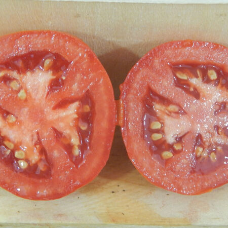 Moneymaker, Tomato Seeds - Packet image number null