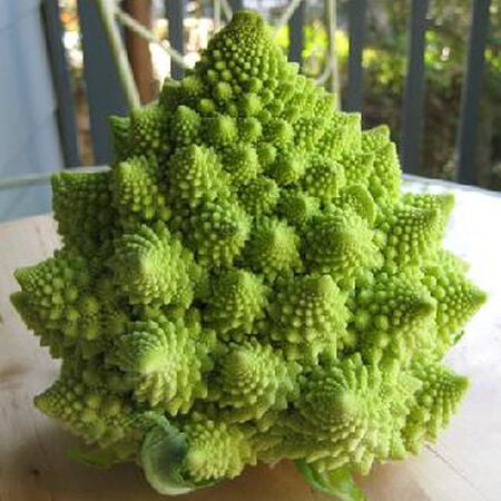 Romanesco, Broccoli Seeds - Packet image number null
