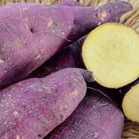 Murasaki Purple, Sweet Potato Slips