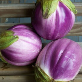 Rosa Bianca, Organic Eggplant Seeds