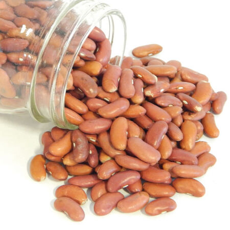 Organic Kidney Beans - 2 lb. Bag