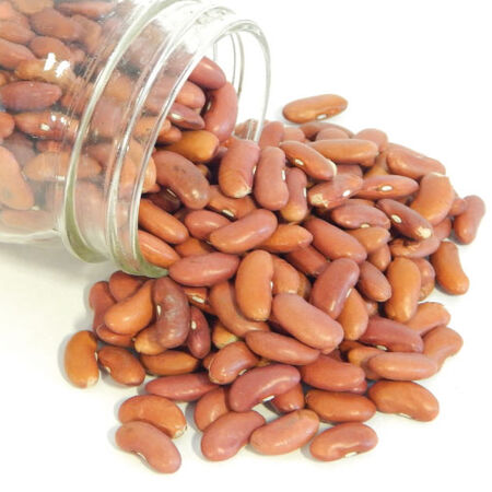 Light Red Kidney, Bean Seeds - Packet (1 oz.) image number null