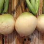 Watermelon, Radish Seeds - Packet thumbnail number null