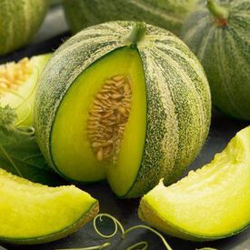 Haogen, Organic Melon Seeds