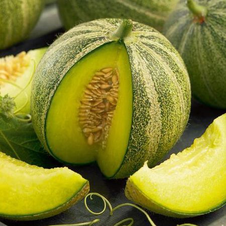 Haogen, Organic Melon Seeds image number null