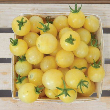 Italian Ice, Tomato Seeds - Packet image number null