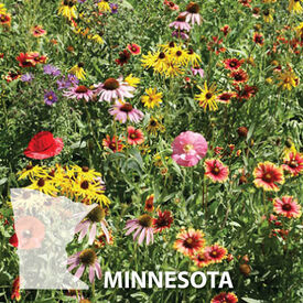 Minnesota Blend, Wildflower Seed