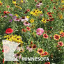 Minnesota Blend, Wildflower Seed - 1 Ounce thumbnail number null
