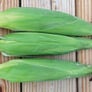 Bodacious, Corn Seed - Packet (1 oz.) thumbnail number null