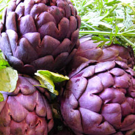 Violet, Artichoke Seeds