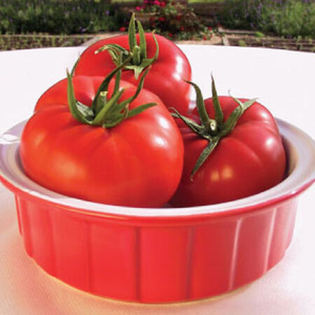 Mater Sandwich, Tomato Seeds - Packet image number null